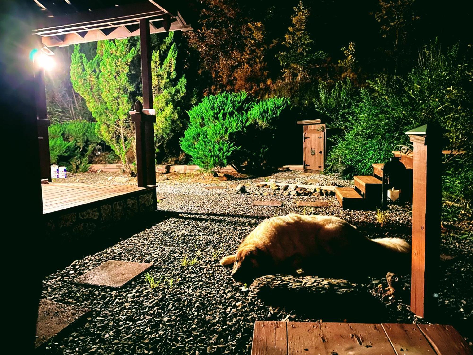 Villa Tiny House, Wifi,Hot Tub,Secluded Cosby Exterior foto