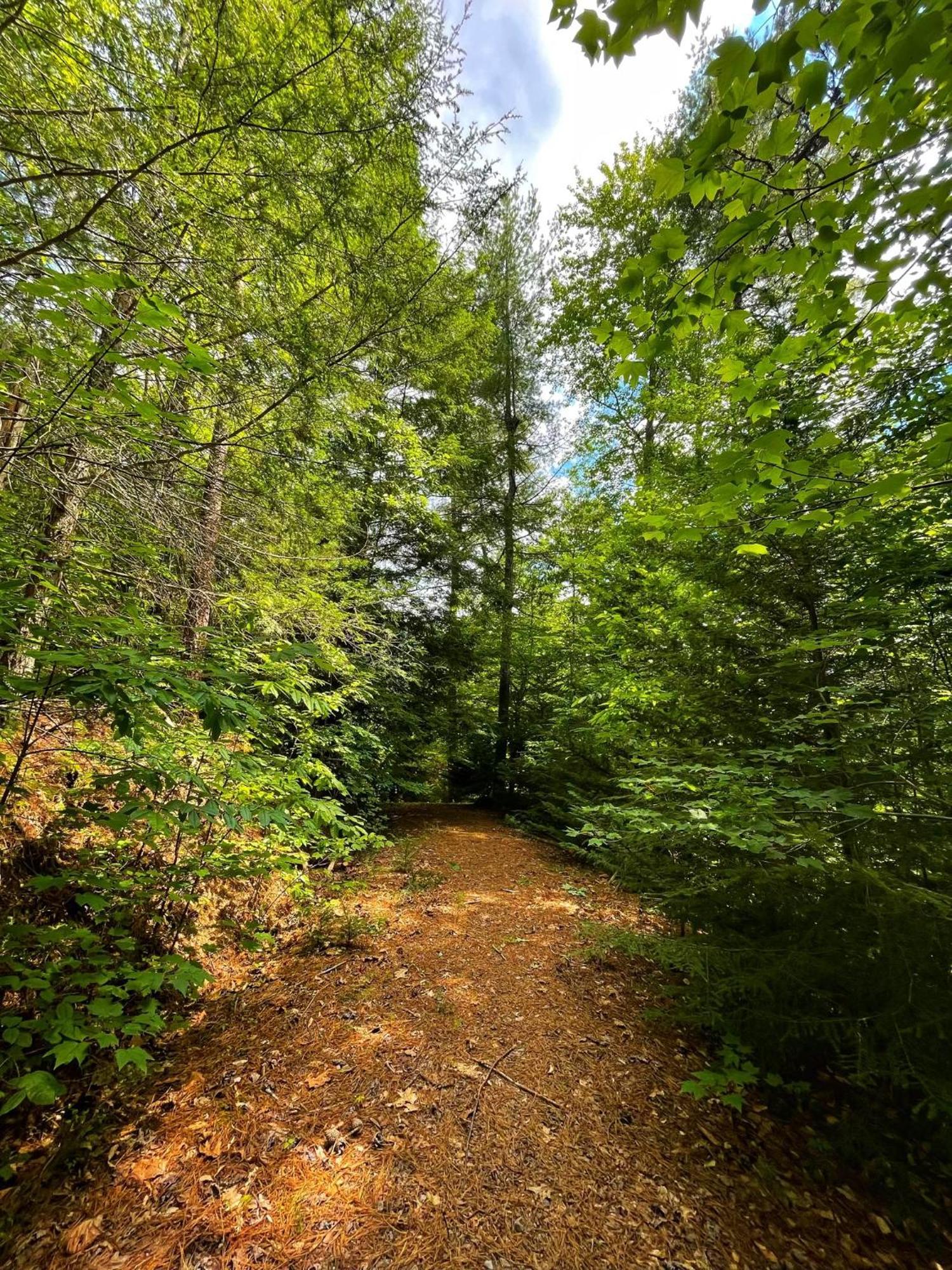 Villa Tiny House, Wifi,Hot Tub,Secluded Cosby Exterior foto