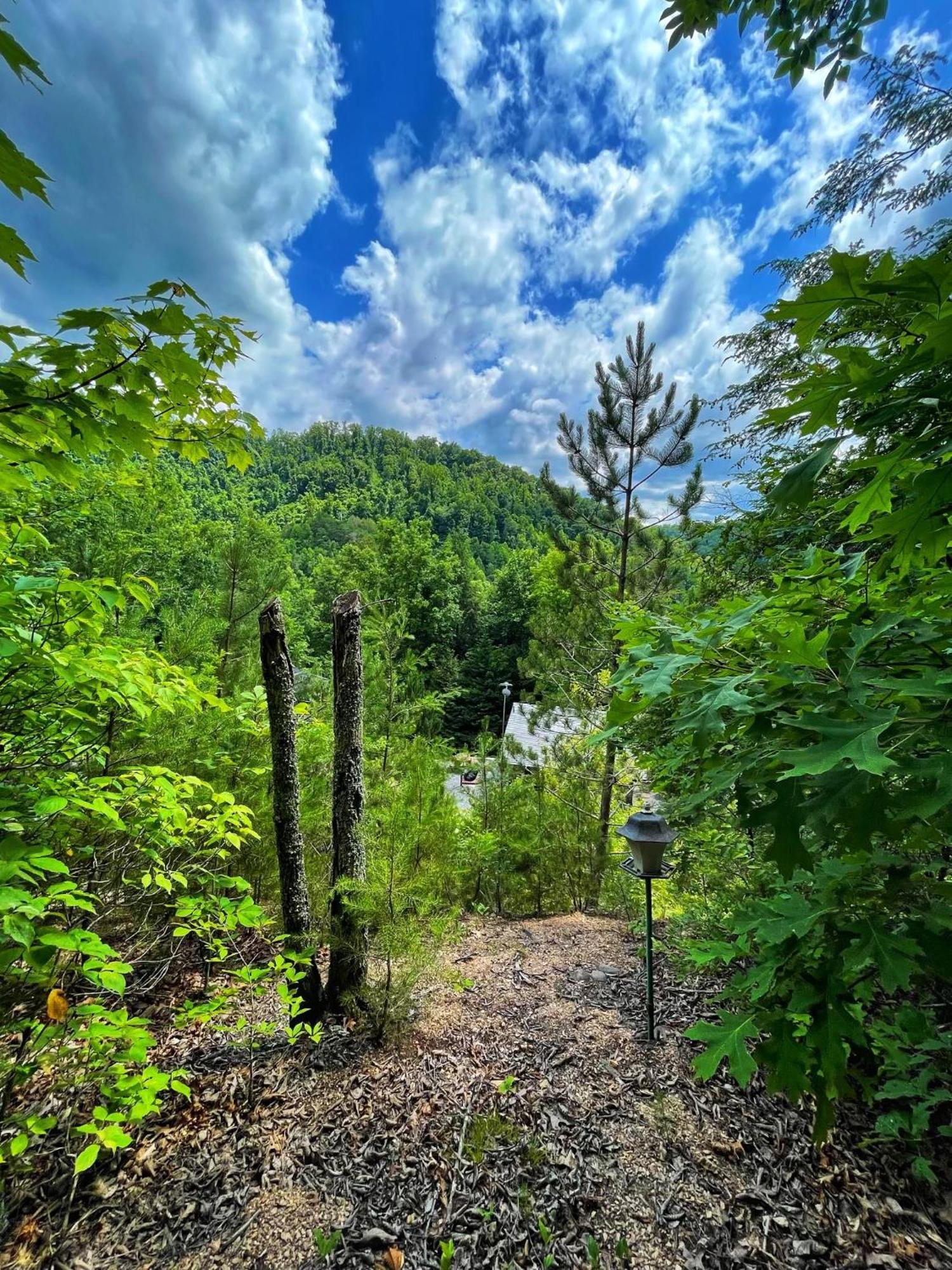 Villa Tiny House, Wifi,Hot Tub,Secluded Cosby Exterior foto
