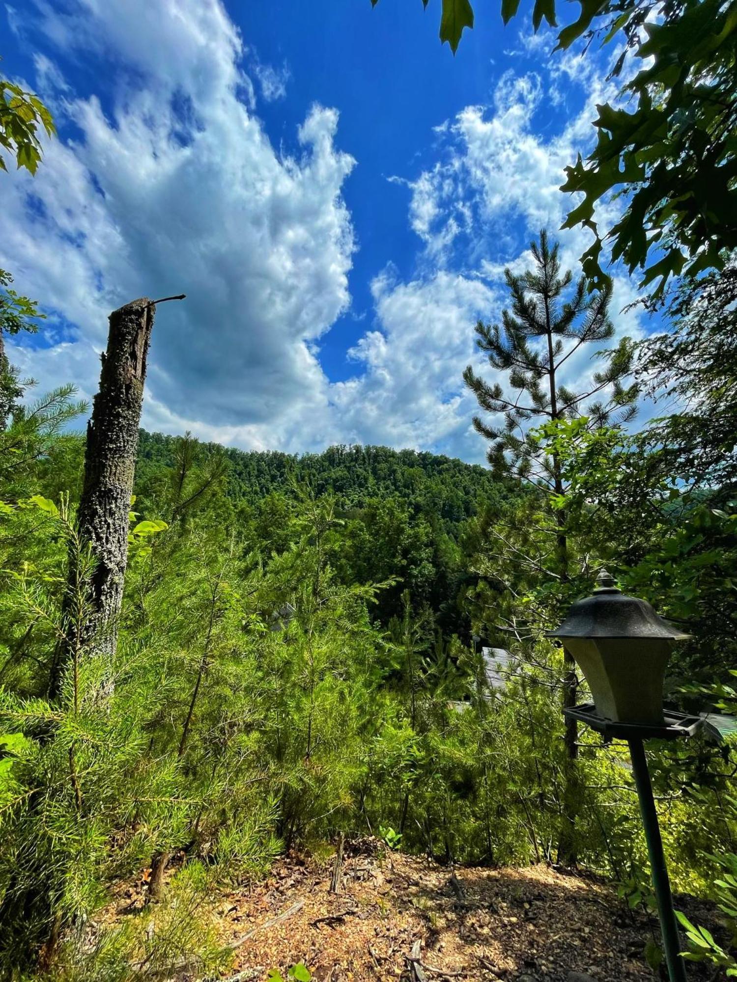Villa Tiny House, Wifi,Hot Tub,Secluded Cosby Exterior foto